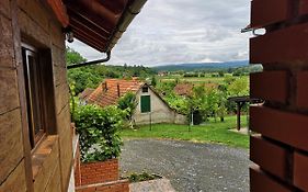 Villa Mirela
