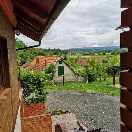 Villa Mirela Maretic Exteriér fotografie