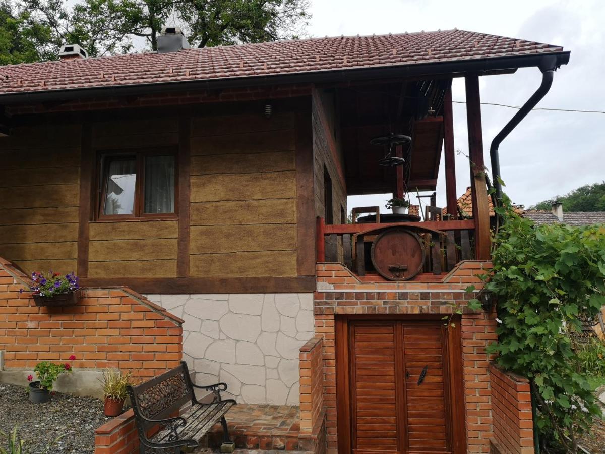 Villa Mirela Maretic Exteriér fotografie