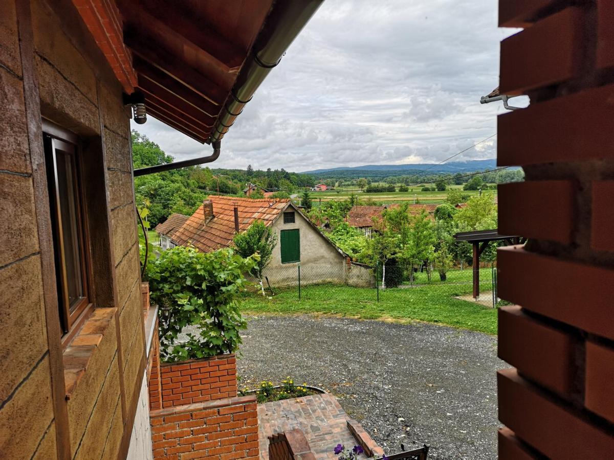 Villa Mirela Maretic Exteriér fotografie