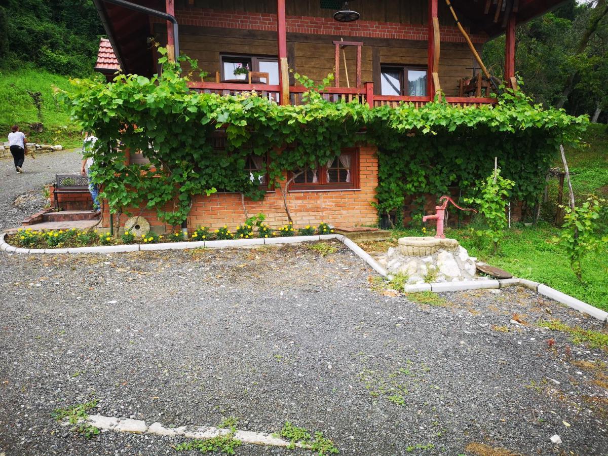 Villa Mirela Maretic Exteriér fotografie